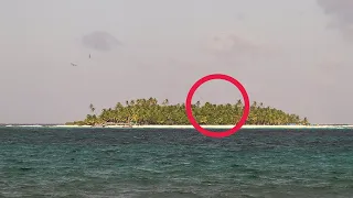 The Professor Revealed the Gilligan's Island Location