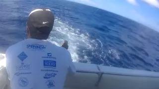 Доминиканская рыбалка троллинг. Deep sea fishing Dominican Republic