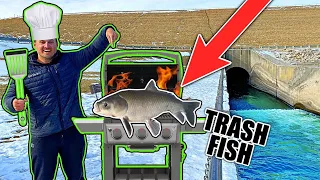 TRASH FISH *Catch n' Cook* on the Spillway Bank!!!