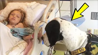 This dog comes close to a sick girl and does something that will melt your hearts!