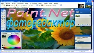 Фоторедактор Paint.NET — бесплатный растровый графический фоторедактор