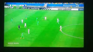 Poništen gol Edina Džeke (Nigerija - BiH, WC 2014)