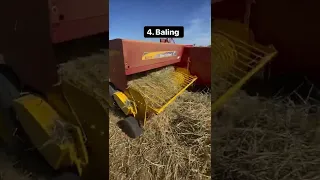 five steps to hay making