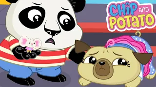 Chip and Potato | Pierwszy dzień Nico // Sportowy Chip | Kreskówki Dla Dzieci