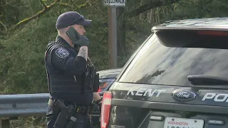 2 arrested after carjacking spree, police pursuit in south King County