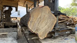 Very scary!! The process of sawing the largest acacia wood on the island of Java