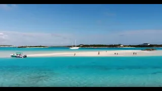 Exuma - Bahamas - Swimming With Pigs, Sharks, Iguanas, Turtles, Stingrays