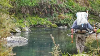FISHING a BEAUTIFUL River for BIG Trout [CAMP OUT]