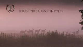 In Polen auf Bock- und Saujagd zur Blattzeit - Jagdkrone