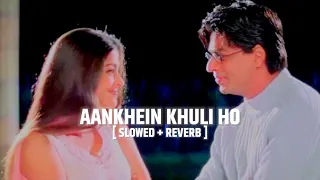 Aankhein Khuli Ho Ya Ho Band ( Slowed & Reverb ) Mohabbatein | Udit Narayan | Lata Mangeshkar | LoFi