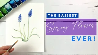 How To Paint Easy Watercolour Muscari!