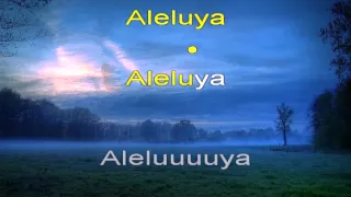 Aleluya - hallelujah - Pista Cristiana Español - KARAOKE