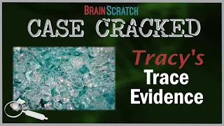 Case Cracked: Tracy's Trace Evidence