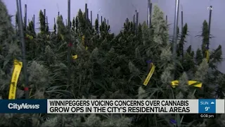 Cannabis concerns in residential areas