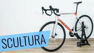 Das MERIDA SCULTURA 4000 (2024) im Review - Fahrrad.org