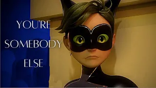 You're Somebody Else || Ladybug & Catwalker