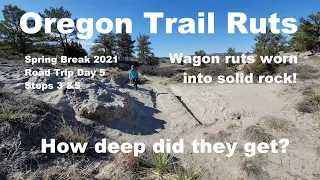 Guernsey Ruts, Oregon Trail Wagon Ruts. How deep were they? Spring Break 2021 Road Trip Stops 3 & 5