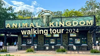 Disney's Animal Kingdom Park Walkthrough 2024 - Low Crowds - Walt Disney World