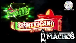 BANDA MACHOS - BANDA MEXICANO - BANDA MAGUEY