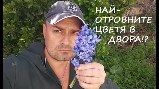 НАЙ-ОТРОВНИТЕ ЦВЕТЯ В ДВОРА MOST POISONOUS FLOWERS IN THE YARD #garden #yard #plants