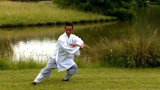Tai Chi - Chen Style by Shaolin monk - Tao Meditation
