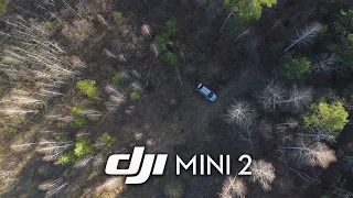 Грибные места.  Прибрежный, Самарская область.  Видео с дрона 4К  DJI mini 2