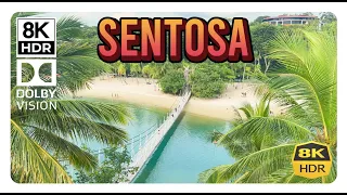 Sentosa Island 8K HDR Palawan Beach, Singapore, 4320p Dolby Vision