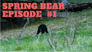 SPRING BEAR HUNT EPISODE #1