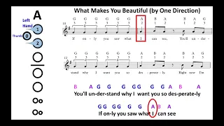 "What Makes You Beautiful" (Chorus) by One Direction - Recorder G A B