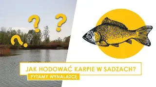 Hodowla karpi w sadzach - Wywiad z wynalazcą Panem Wieńczysławem Wawerskim