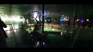 INSIDE MOSCOW oceanarium