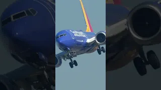 Pilots Can't Control the 737 MAX...