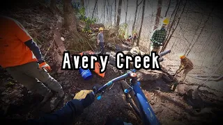 Pisgah Area SORBA Encounter on Avery Creek Trail // Pisgah Forest