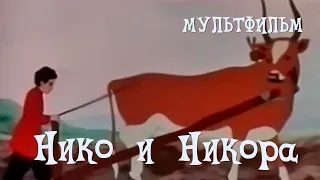 Нико и Никора (1954) Мультфильм Григорий Чмутов, Аркадий Хинтибидзе