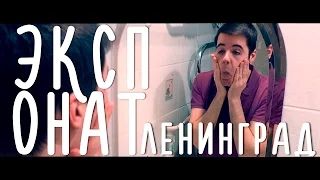 Ленинград - Экспонат/На лабутенах (топ пародия ин зэ ворлд нах)