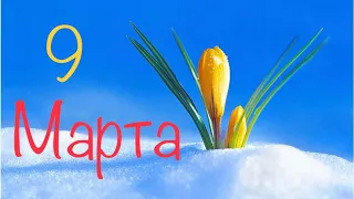 Таро-прогноз на 9 Марта 2020 года/Полнолуние 🌕