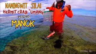 NAMINGWIT SILA, UMANG KONTRA MANOK // BAREHAND ANGLER - HERMIT CRAB vs CHICKEN