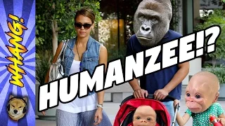 HUMANZEE! - Can a Human Have Babies With a Gorilla, Chimpanzee or Orangutan? - Whang!