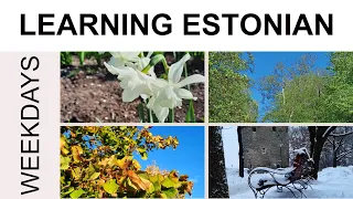 Learning Estonian 27. Weekdays #learningestonian #estonia