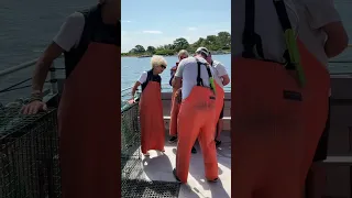 LOBSTER CATCHING IN PORTLAND MAINE USA 🇺🇸 | Juandering Joe