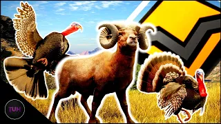 Thanksgiving Monsters!!! Diamond Bighorn Sheep And Turkeys!!! | theHunter: Call of the Wild