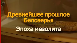 Древнейшее прошлое Белозерья: эпоха мезолита