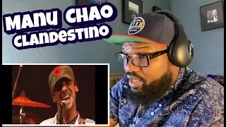 Manu Chao - Clandestino (Live) | REACTION