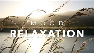 Relaxing Music for Sleep, Meditation (No Copyright) | Mood Videos