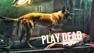 Play Dead (2022) Film Explained in Hindi/Urdu Summarized हिन्दी