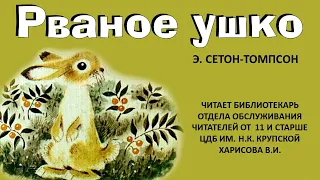 "Рваное ушко" Э. Сетон-Томпсон (12+)