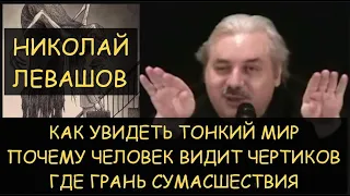 ✅ Н.Левашов: Как увидеть тонкий мир. Почему человек видит чертиков. Где грань сумасшествия