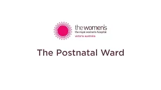 The Postnatal Ward