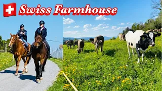 🇨🇭Impressive Swiss farmhouse ,  Wädenswil , Switzerland | Swiss Cow  #SwissView