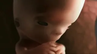 ▶Le miracle do la vie ( simulation 3D D'une grossesse. A baby 👶 in mother stomach.